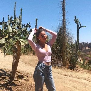 Urban outfitters purple crop top long sleeve